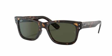 RAY-BAN RB2283 MR BURBANK